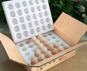 蚌埠蚌埠珍珠棉蛋托2